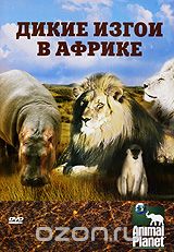 Animal Planet: Дикие изгои в Африке