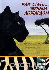 Animal Planet: Как стать... черным леопардом