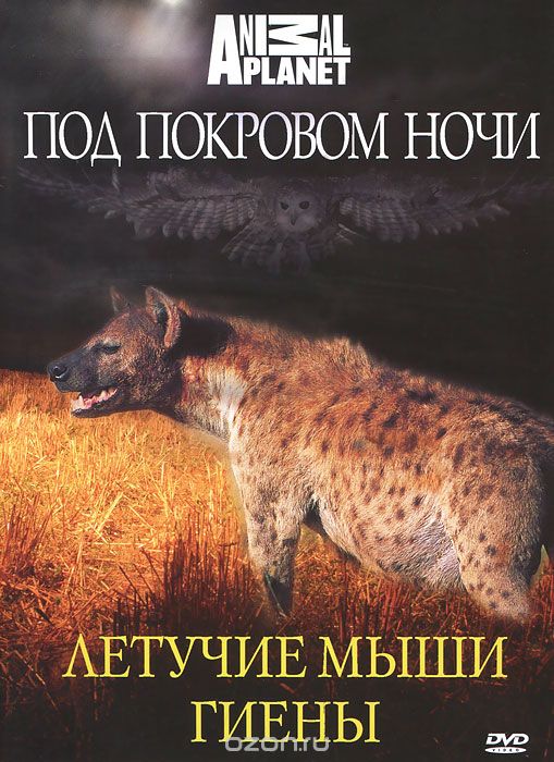 Animal Planet: Под покровом ночи: Летучие мыши / Гиены