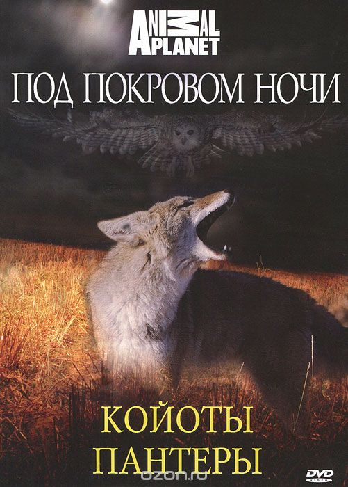 Animal Planet: Под покровом ночи: Койоты / Пантеры