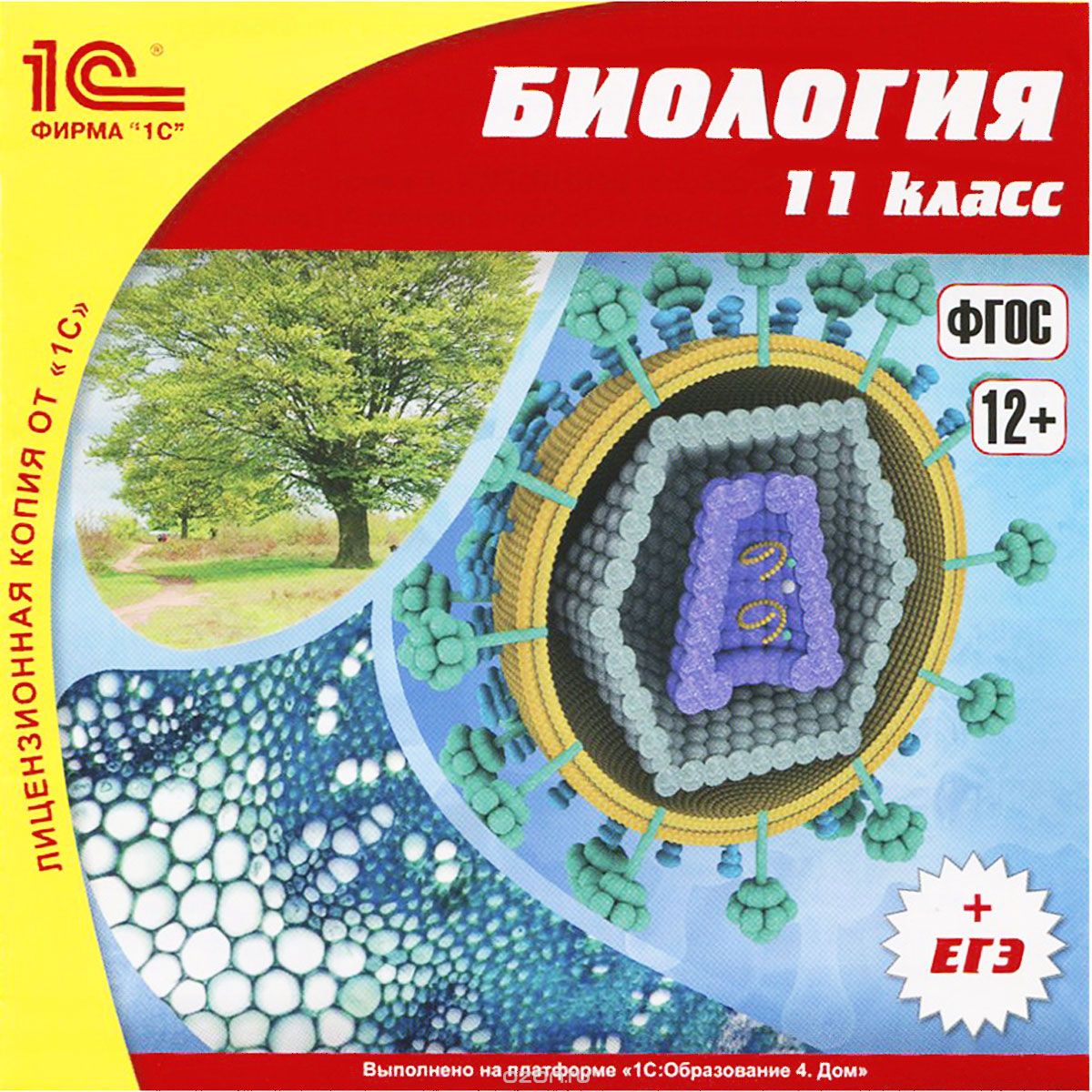 1С:Школа. Биология. 11 класс (ФГОС)