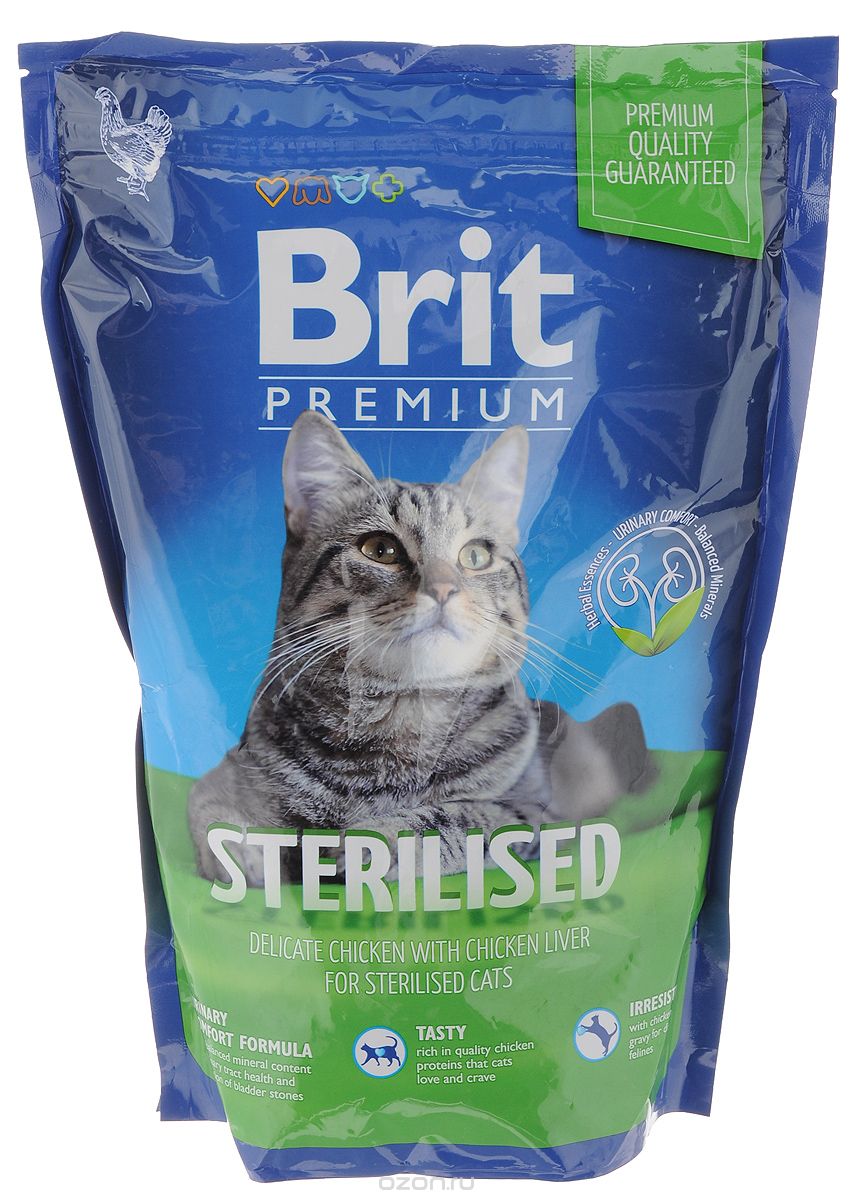   Brit Premium 