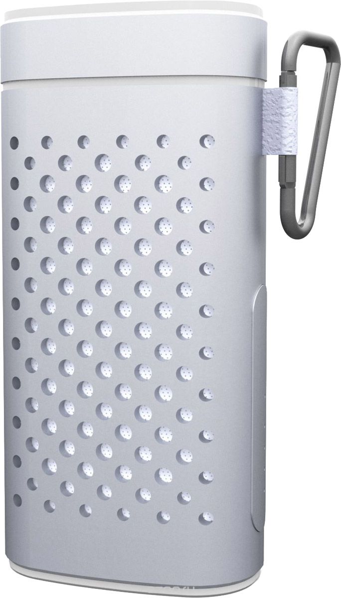 Ritmix SP-440PB, Silver портативная акустическая система