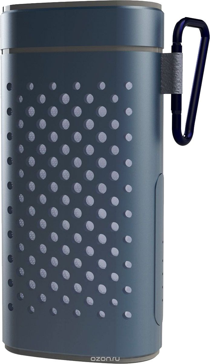 Ritmix SP-440PB, Gray портативная акустическая система