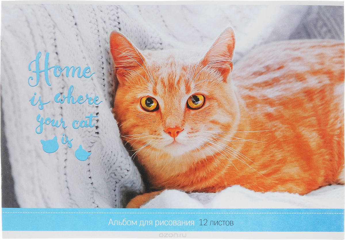 ArtSpace Альбом для рисования Where Your Friend Рыжий кот 12 листов