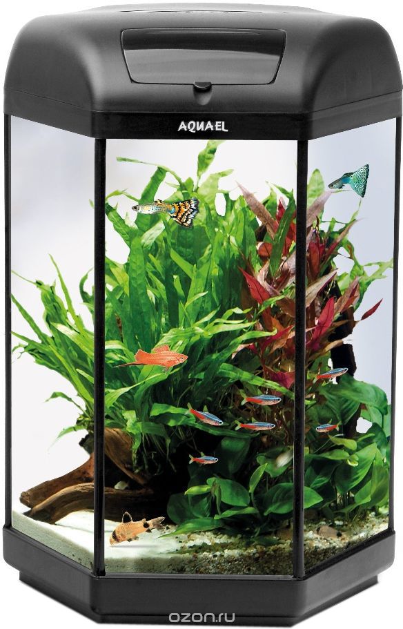 Aквариум Aquael "Нexa Set Ll 20", LT 1 x 3W Sunny, 20 л
