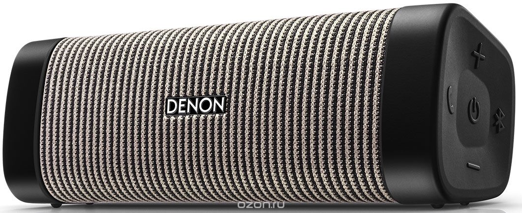Denon Envaya Pocket DSB-50, Grey портативная акустическая система