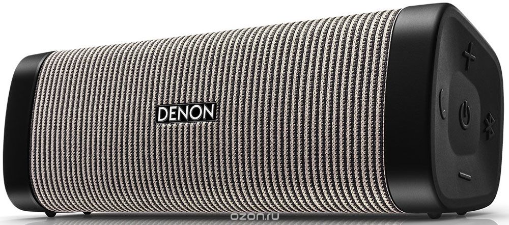 Denon Envaya DSB-250, Grey портативная акустическая система